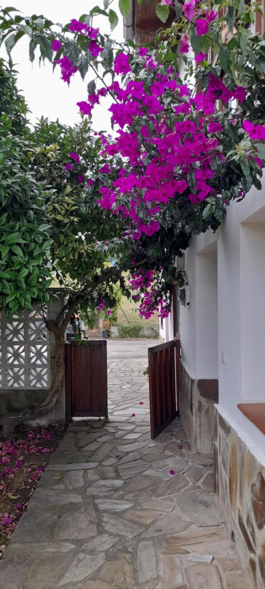 Gestiona2R - Casa Con Finca En Pendueles Al Lado De La Playa Llanes Exterior foto